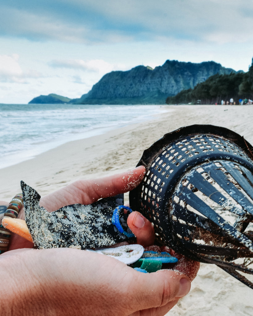 Microplastic and plastic pollution in Hawaii