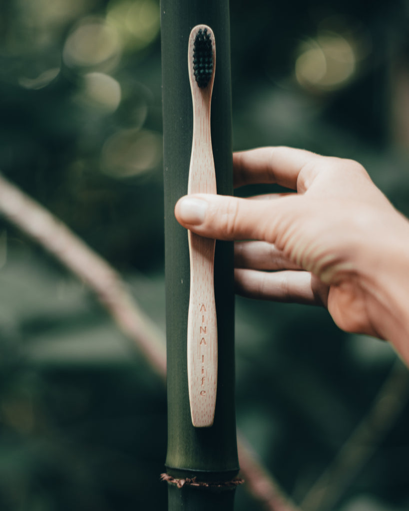 Bamboo Toothbrush Adult 2-Pack with Plant Based Bristles